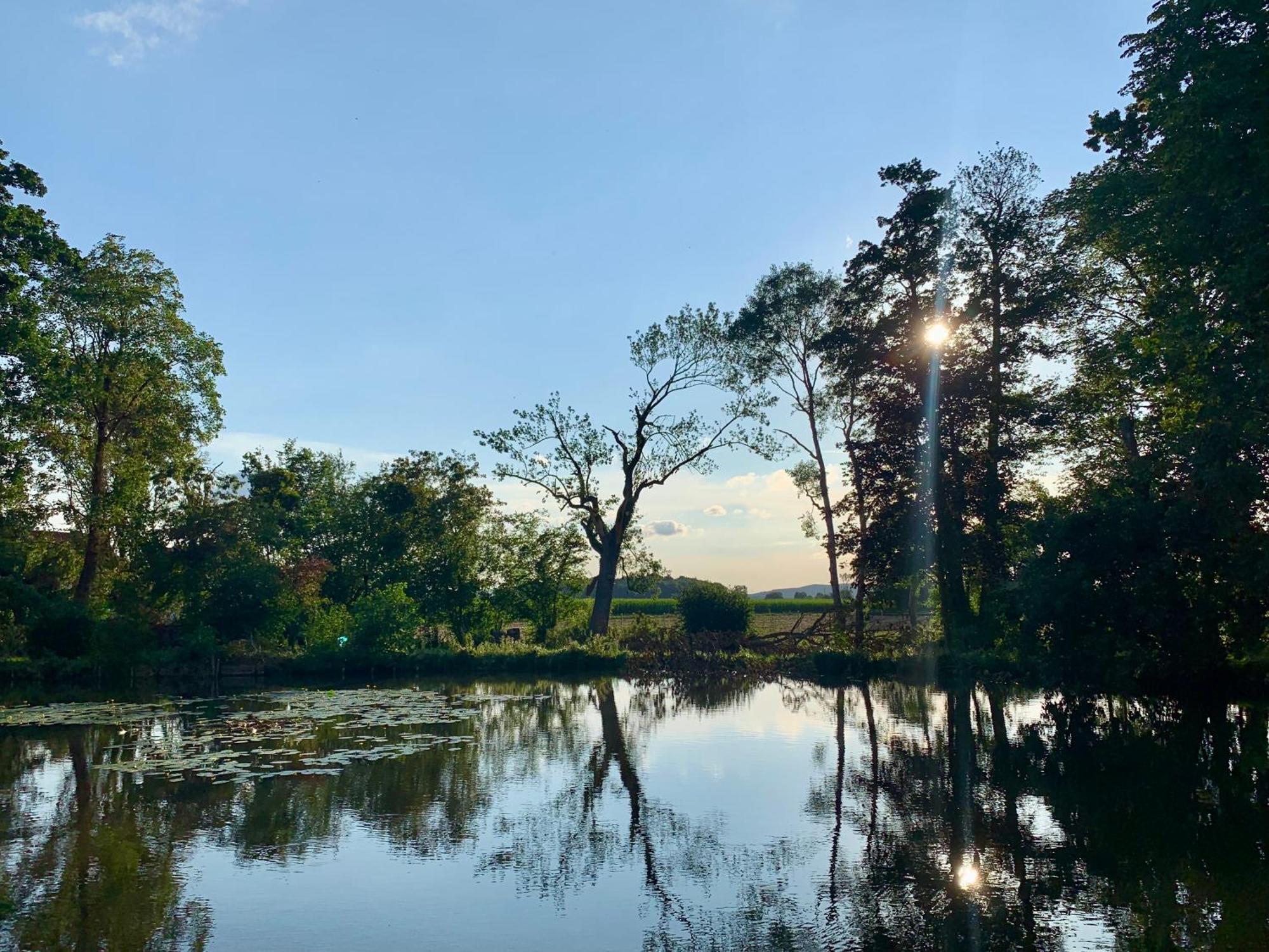 Wohnen Im Wasserschloss Sandizell Schrobenhausen Buitenkant foto